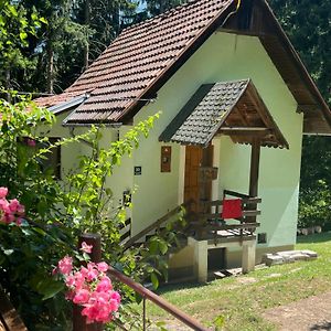 Vikendica Forest Hotel Hadzici Exterior photo