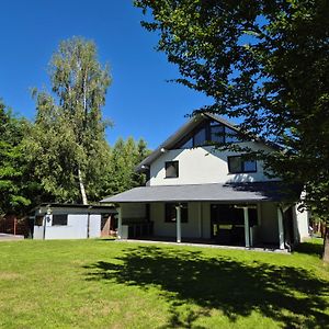 Vila Yolo Valea Avrigului Villa Porumbacu de Sus Exterior photo