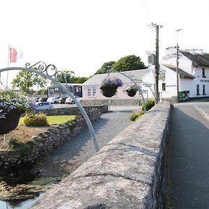 Modern Village Guest House Clarinbridge Exterior photo