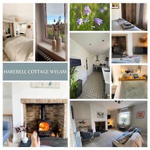 Harebell Cottage In Wylam Village Sleeps 4 Exterior photo