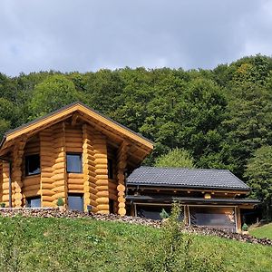 Ralph Cabin- Apuseni Mountains, Transylvania Villa Bucium  Exterior photo