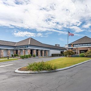 Comfort Inn & Suites Chattanooga-East Ridge Exterior photo