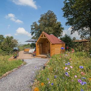 Dol Y Mynydd The Mountain Meadow-Qu7521 Villa Llangerniew Exterior photo