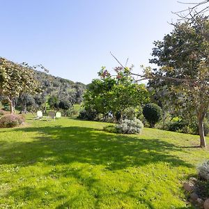 Casale Oliveto Dei Monti By Rental In Rome Cerveteri Exterior photo