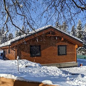 Chata Pod Javorskym Villa Cadca Exterior photo