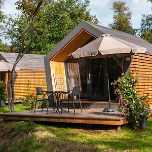 Studio Chalet In A Holiday Park Villa Ruinen Exterior photo