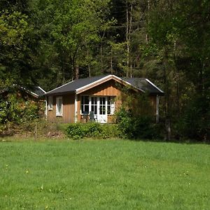 Cozy Chalet Near A National Park Villa Ruinen Exterior photo