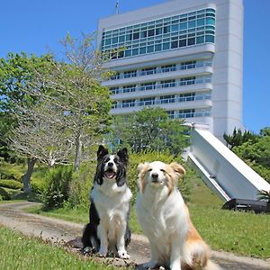 Nanki Shirahama Dog Paradise Hotel Asso Exterior photo