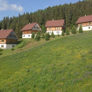 Moselebaueralm Villa Klippitztorl Exterior photo