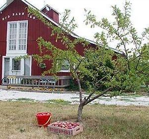 Kennedys Red Barn Inn Greenlawn Exterior photo