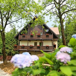 Pomona Relaxing Nature Guest House Rogaska Slatina Exterior photo