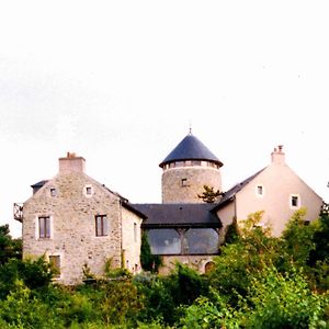 Au Moulin Geant Bed & Breakfast Rochefort-sur-Loire Exterior photo