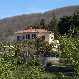 Valle Maira, Agriturismo Nel Parco Dei Nebrodi Villa Tortorici Exterior photo