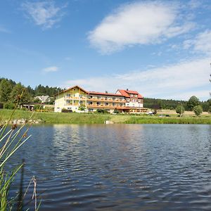 Gasthof-Pension Nordwald Hotel Harbach  Exterior photo