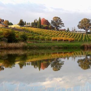 Pine Hill Lodge In Vineyard Mapua Exterior photo