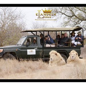 Elandela Private Game Reserve & Luxury Lodge Hoedspruit Exterior photo