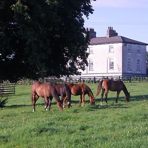 Glebe House Guest House Taghshinny Exterior photo