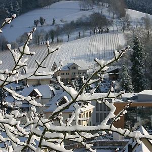 Weingut Wissler - Brennerei Apartment Au Exterior photo