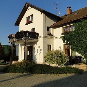 Villa Zerotin Penzion Bed & Breakfast Velke Losiny Exterior photo