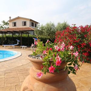 Agriturismo Casale Sasso Guest House Cerveteri Exterior photo