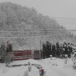 Pensiunea D O R U Arges Hotel Cotenesti Exterior photo