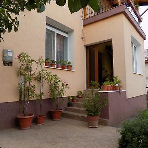 Casa Teo Apartment Hunedoara Exterior photo