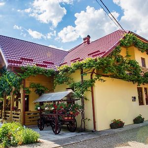 Casa Andreea Hotel Sucevita Exterior photo