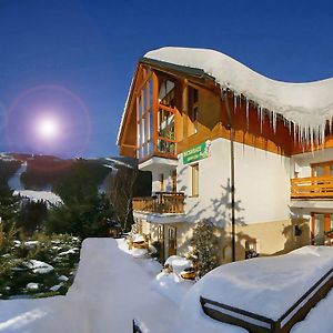 Pension Karolina Hotel Spindleruv Mlyn Exterior photo