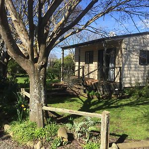 Ivy'S Cottage Greytown Exterior photo