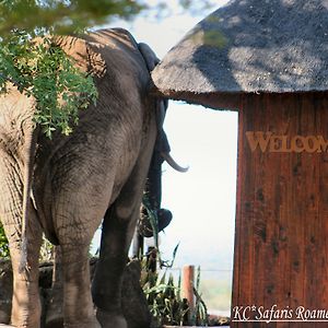 Roamers Rest Safari Lodge Balule Game Reserve Exterior photo