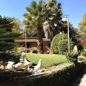 El Refugio De Las Palomas Villa Tepoztlan Exterior photo