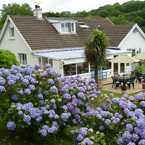 Mellieha Guest House Narberth Exterior photo