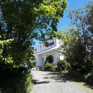 Purple Hen Country Lodge Katikati Exterior photo