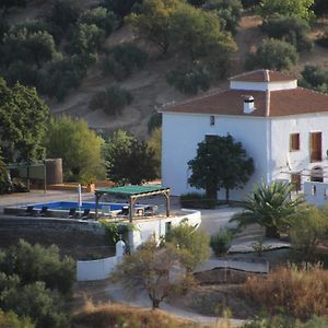 Casa El Castano Bed & Breakfast Martos Exterior photo