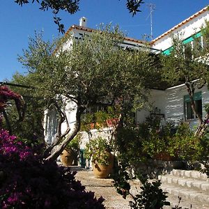 Il Rifugio B&B Capri Anacapri  Exterior photo