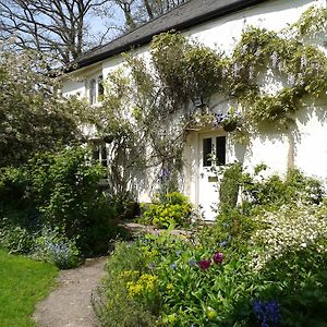 Tracebridge Cottage B&B Stawley Exterior photo