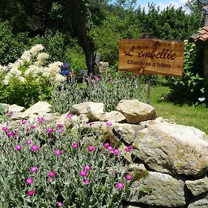 L'Embellie Bed & Breakfast Bertignat Exterior photo