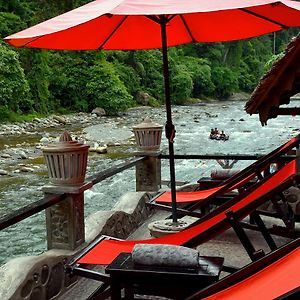 Ecotravel Cottages Bukit Lawang Exterior photo