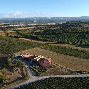 O'Vineyards B&B Carcassonne Villemoustaussou Exterior photo