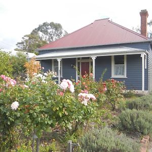 Yarram Cottage: Art And Accommodation Exterior photo