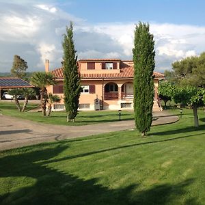 Bed & Breakfast La Volpe E L'Uva Bed & Breakfast Santa Marinella Exterior photo