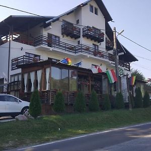 Pensiunea Pomi -Oesti Hotel Albestii Paminteni Exterior photo