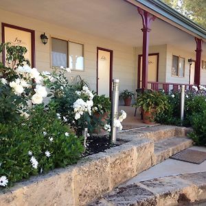 The Nosh & Nod - Avon Terrace Motel York Exterior photo