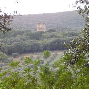 Tenuta Uccellina Hotel Magliano in Toscana Exterior photo