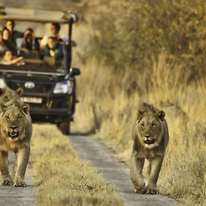 Morokolo Safari Lodge Self-Catering Pilanesberg Exterior photo