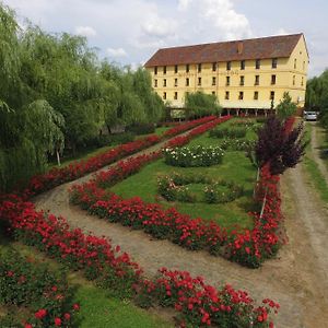 Hanul Moara Cu Noroc Hotel Ineu  Exterior photo