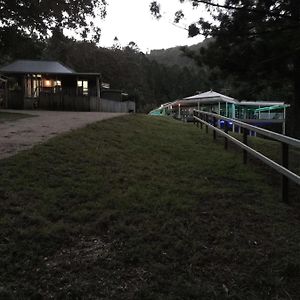 Ingleside Stud Farm Bed & Breakfast Tallebudgera Exterior photo