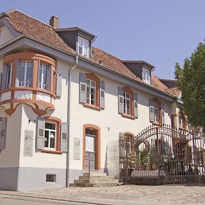 Villa Delange Landau in der Pfalz Exterior photo