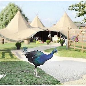 Skipbridge Farm Shepherds Huts Campground Hotel Green Hammerton Exterior photo