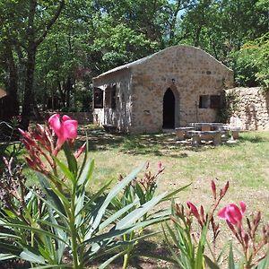 Le Donjon Des Combes Et Son Spa Bed & Breakfast Fayence Exterior photo